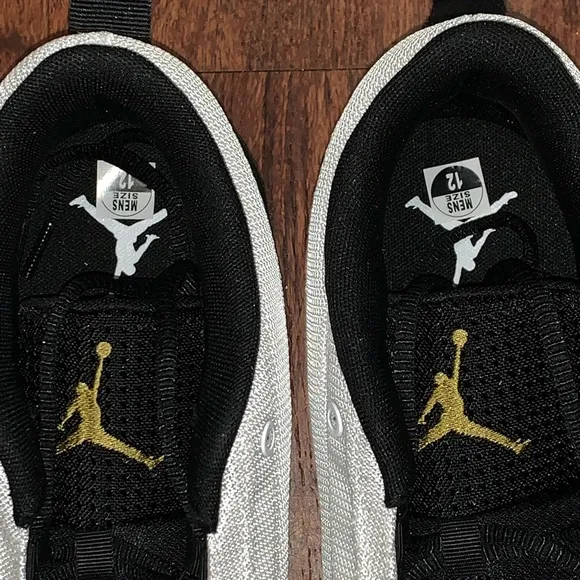 Air Jordan size 12