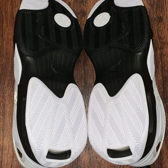 Air Jordan size 12