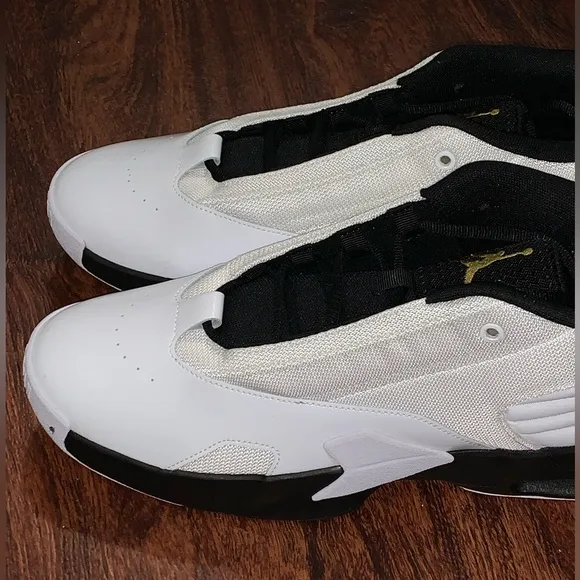 Air Jordan size 12