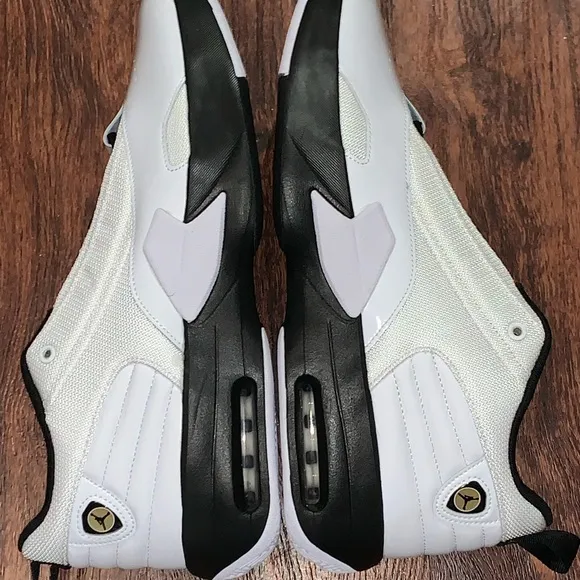 Air Jordan size 12