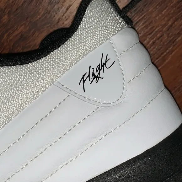 Air Jordan size 12