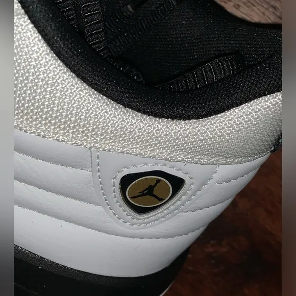 Air Jordan size 12
