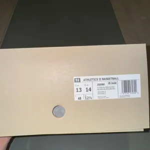Athletics II Basketball Shoe x FOG