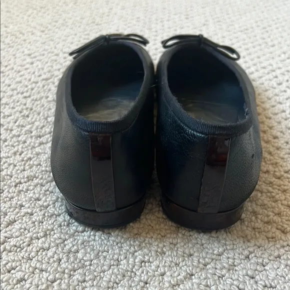 Elegant Black and Brown Stuart Weitzman Flats
