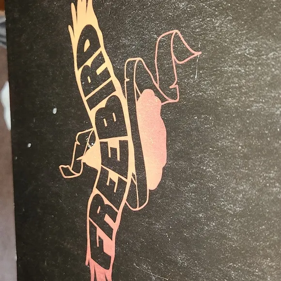 Freebird Leather Sandal Boots