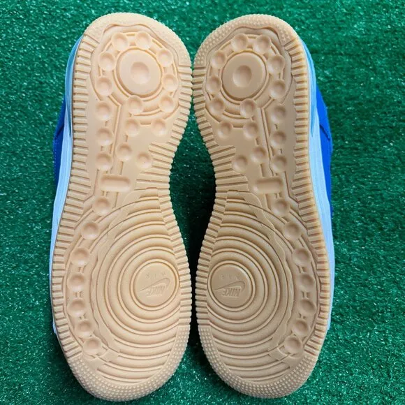 Nike Air Force 1 Low EVO Low Mens Casual Shoes Blue HF3630-400 VNDS Sz 10
