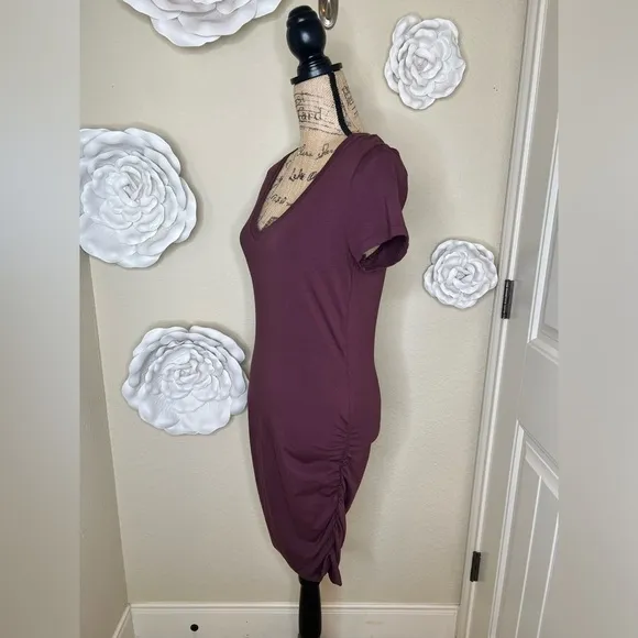 NTM Michael Stars Meleeka Stitchfix Burgundy Color Bodycon Style Dress Size L