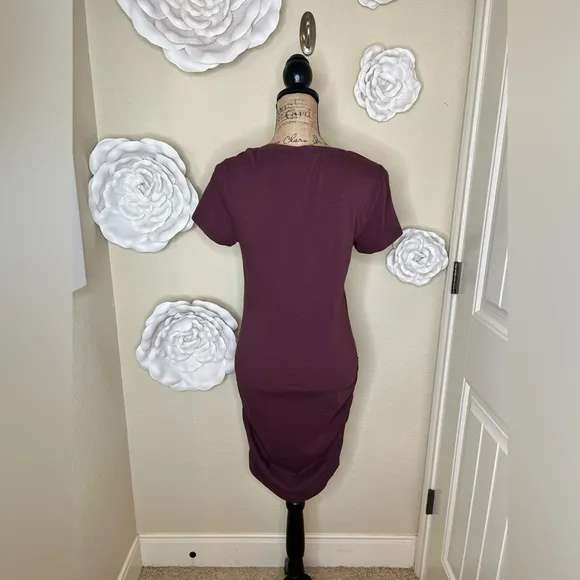 NTM Michael Stars Meleeka Stitchfix Burgundy Color Bodycon Style Dress Size L