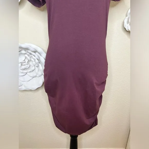 NTM Michael Stars Meleeka Stitchfix Burgundy Color Bodycon Style Dress Size L