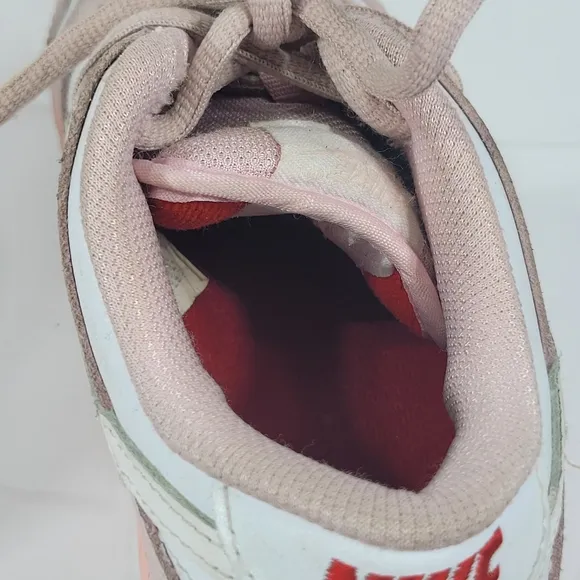 Staple x Nike SB Dunk Low “Pink Pigeon” Womens Size 5.5