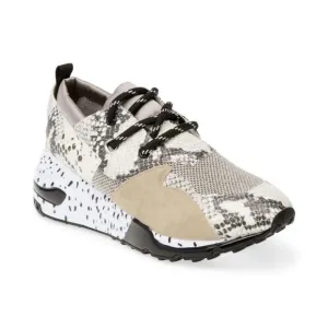 Steve Madden cliff natural snake Sneakers