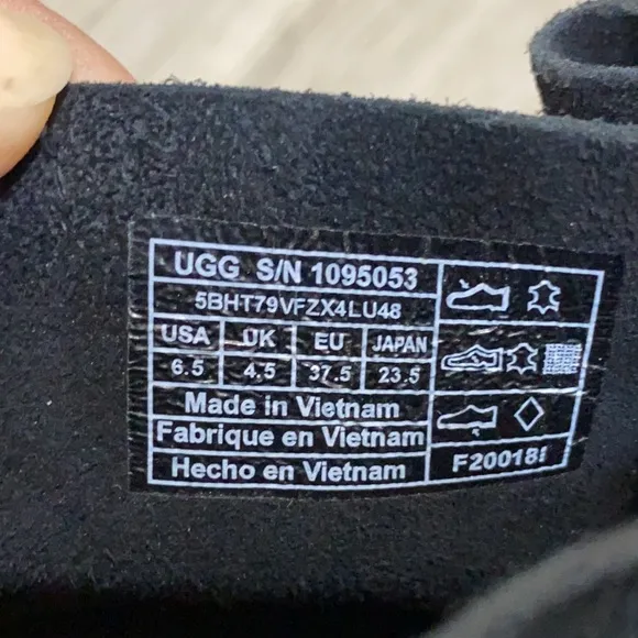 Ugg Bandara Suede Ankle Boots